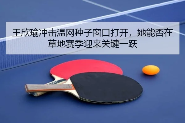 王欣瑜冲击温网种子窗口打开，她能否在草地赛季迎来关键一跃 | feifanyule